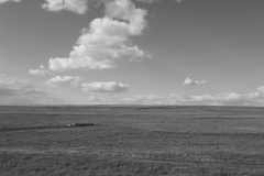 JAM_5_field | Jeanmoreman Fotografia | JAM Photo | Jeanmoreman Photo