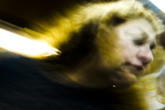 JAM_gold | Jeanmoreman Fotografia | JAM Photo | Jeanmoreman Photo