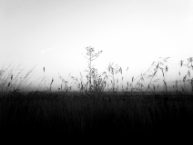 JAM_st77 | Jeanmoreman Fotografia | JAM Photo | Jeanmoreman Photo