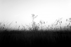 JAM_st77 | Jeanmoreman Fotografia | JAM Photo | Jeanmoreman Photo